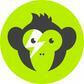 MONKEY MERCH - Shopify App Integration the GM agency