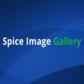 Spice Image Gallery - Shopify App Integration