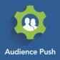 Audience Push to Facebook - Shopify App Integration