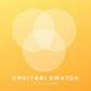 Cogitari Swatch - Shopify App Integration Huno Labs