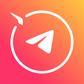 Elfsight Telegram Chat - Shopify App Integration Elfsight