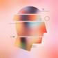 Faraday Personas & Insights - Shopify App Integration Faraday