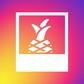 Instagram Feed - Shopify App Integration Piña Tropical, LLC