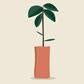 Plant Trees for Climate Action - Shopify App Integration Zestard Technologies
