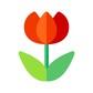 Simple Climate Donation - Shopify App Integration wonderflower