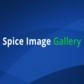 Spice Image Gallery - Shopify App Integration Spice Gems